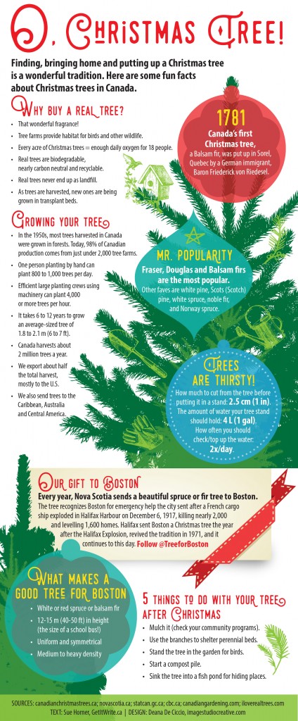 Fun facts about Christmas trees [infographic]