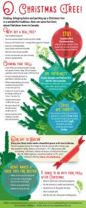 Christmas tree facts