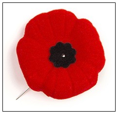 Poppies for remembrance