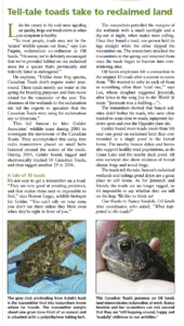 Tell-tale toads take to reclaimed land