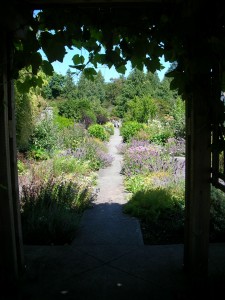 Transfixed by doors & gates & paths