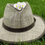 Straw Hat by 'dan'