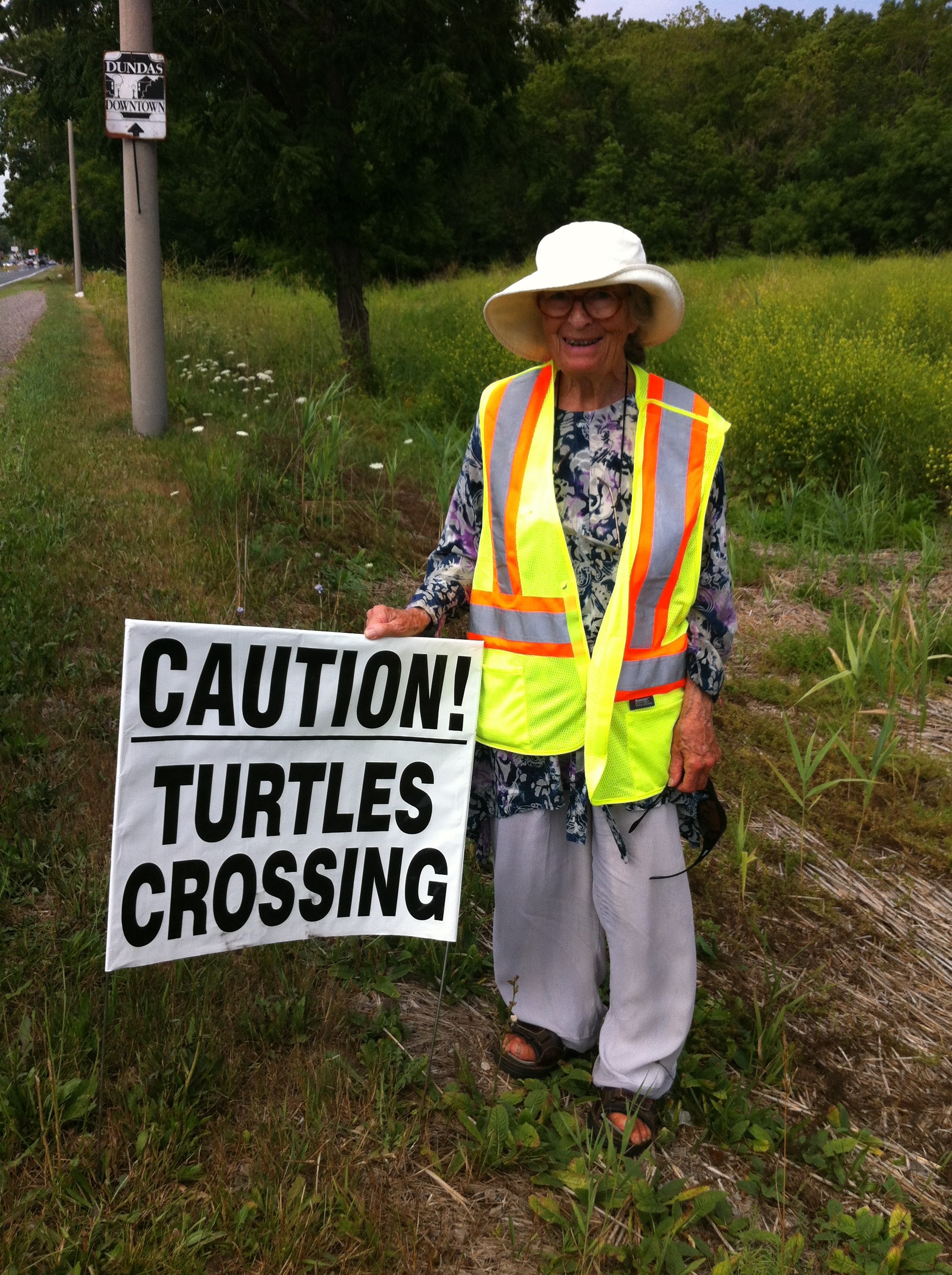 Road ecology steps in when animal instincts and urban sprawl collide