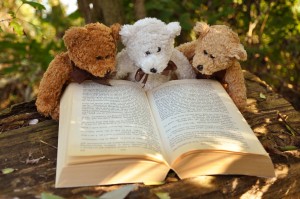 Bears reading Sue's blog posts