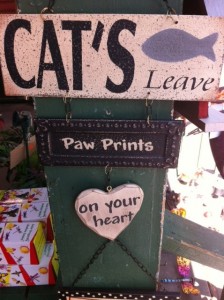 Wordnerdery: Cat’s and other apostrophe follies