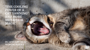 A cat yawning as metaphor