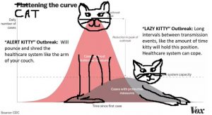 "Catten" the curve chart