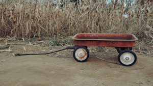 Abandoned wagon