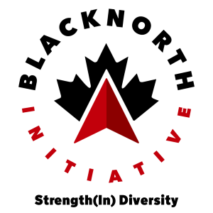 BlackNorth logo