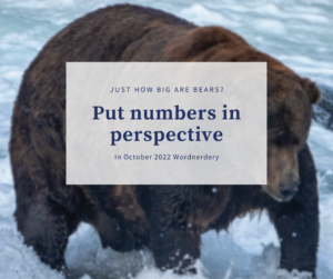 Big bears put big numbers in perspective (Wordnerdery)