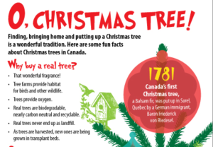 All about Christmas trees for National Christmas Tree Day