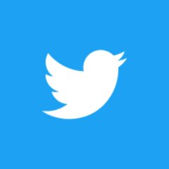 White twitter bird on a blue background