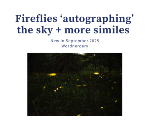 The ‘bioluminescent wonder’ of fireflies prompts a look at similes in the latest Wordnerdery