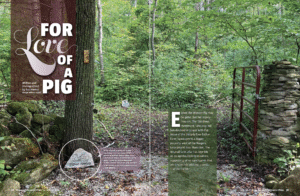 For love of a pig: An update on Esther